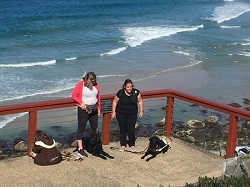 looking down on Tarhnee, Hailey and their working dogs, with a beautiful ocean scene and waves in background