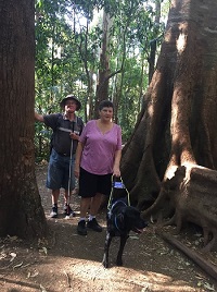 Photograph of Pete, Jenny and dog guide Elvis on a bushwalking track walking between two gigantic trees left and right