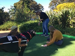 Tarhnee Putt Putt Tarhnee and her girls playing putt putt golf with her dog guide looking on